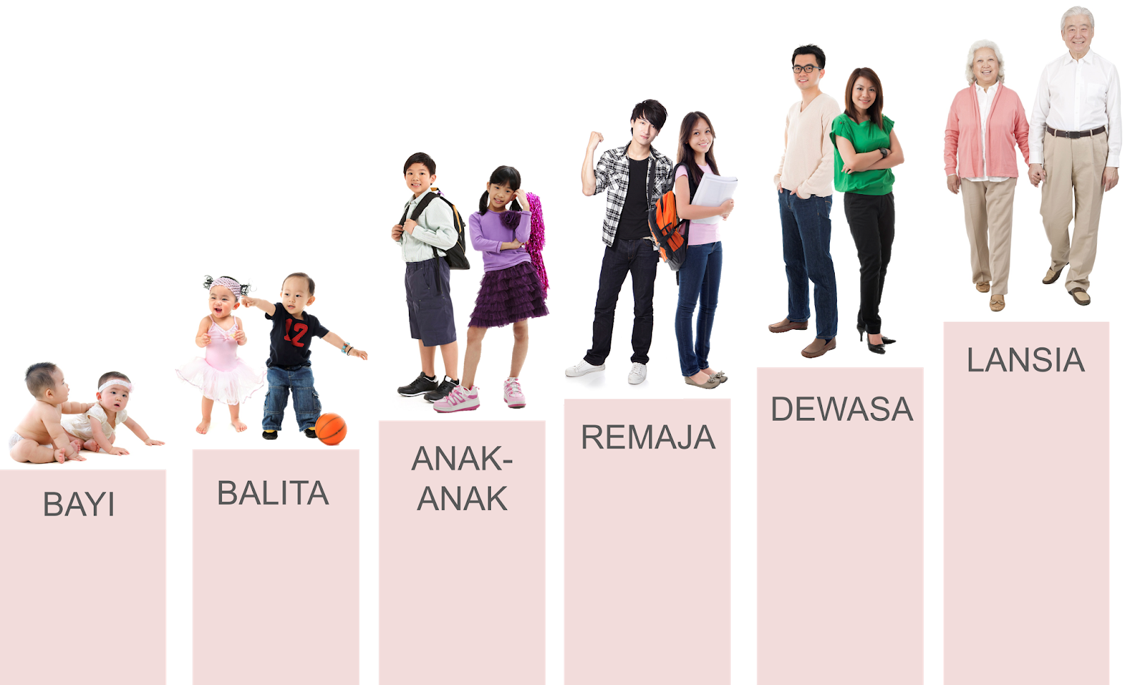 Perkembangan Kognitif: Mengasah Otak Sejak Dini: Panduan Stimulasi Perkembangan Kognitif Anak