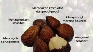 Fakta Unik: Apakah Buah Salak Baik untuk Ibu Hamil dan Menyusui